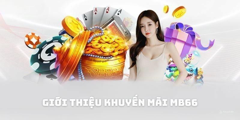 Tổng hợp các ưu đãi nổi bật tại MB66