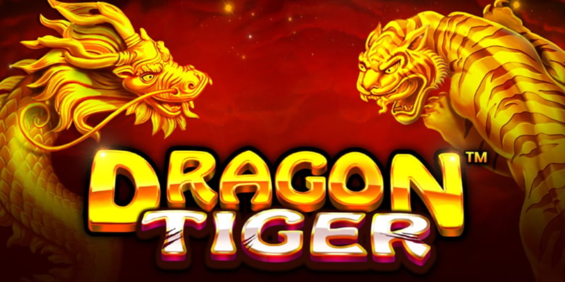 Tìm hiểu Rồng Hổ MB66