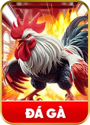 đá gà